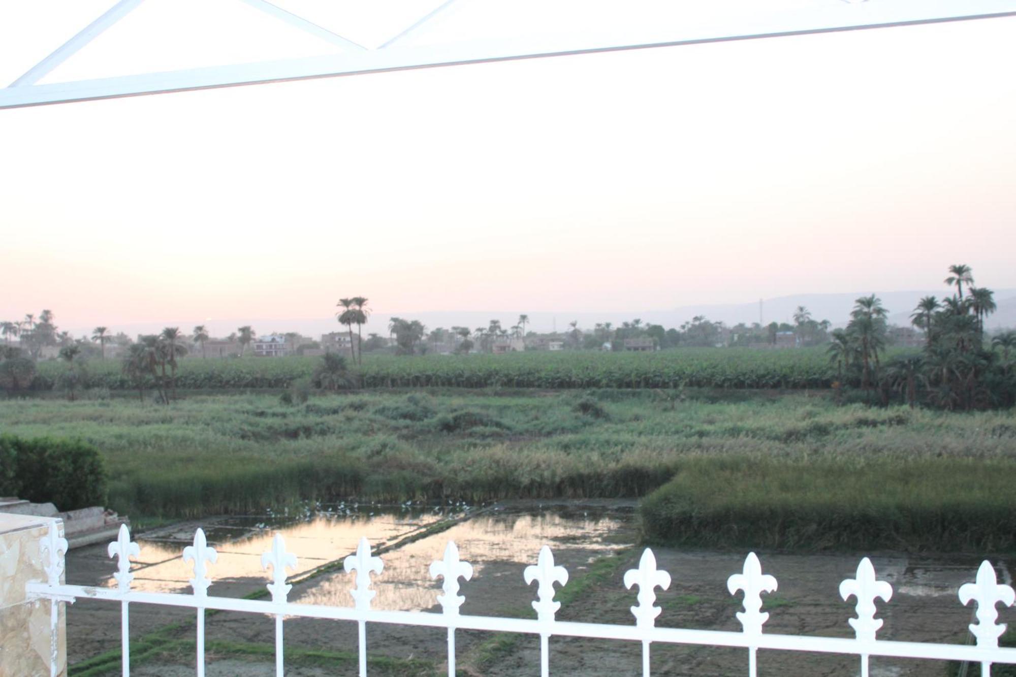 Mama Africa Apts & Studios Luxor Ngoại thất bức ảnh